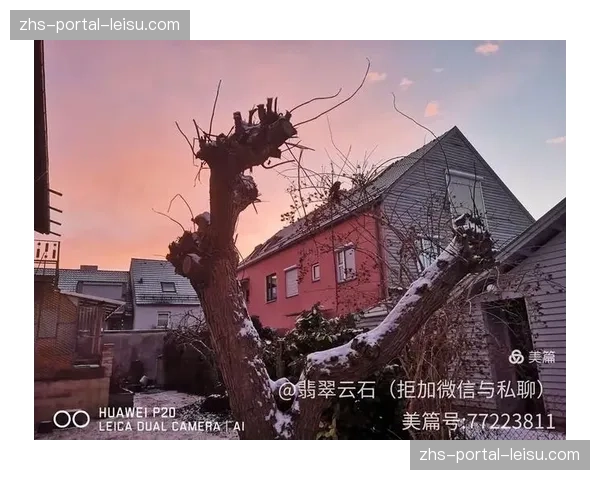 通讯：一座德国西南小城的足球狂欢——海登海姆的主场日